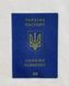 Футболка Ukrainian Passport, Шампань (молоко), S 